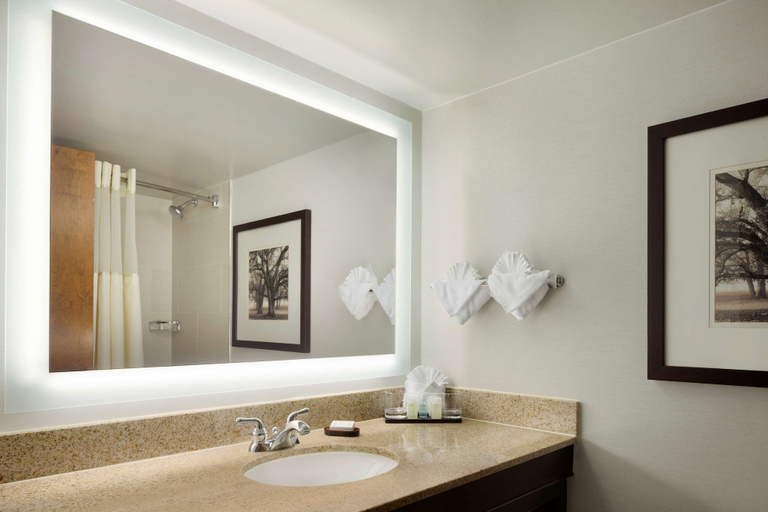 Bathroom 5, Embassy Suites By Hilton Columbus, Franklin