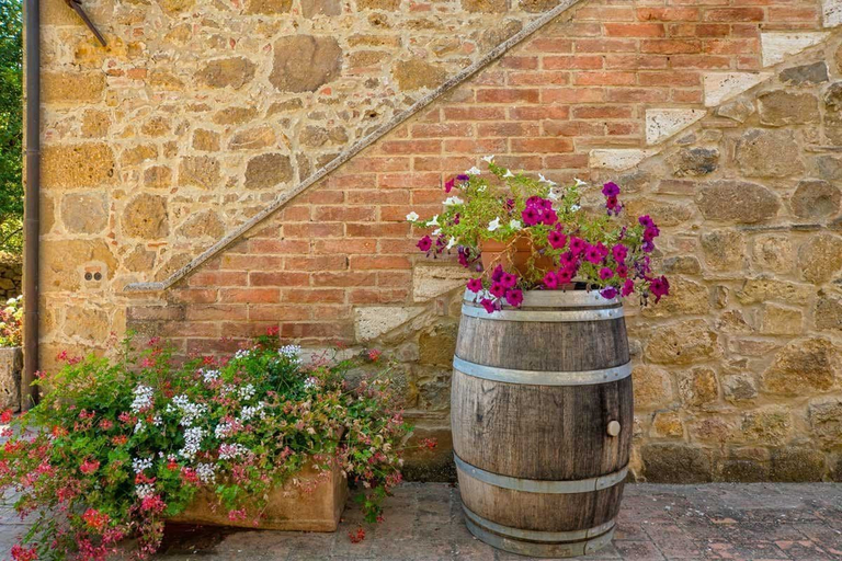 Food & Drinks 4, Castello di Spedaletto, Siena