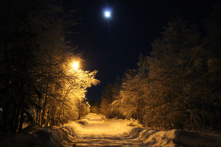 Others 3, Villa Havula, Lapland