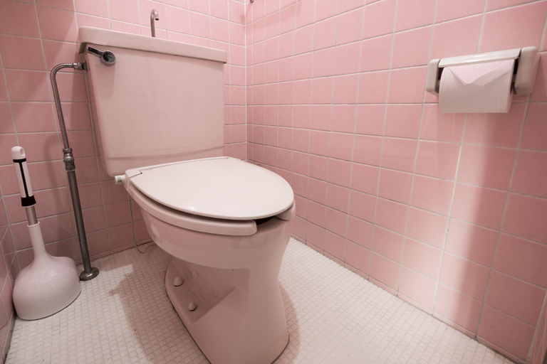 Bathroom 3, Nakamarucho, Itabashi