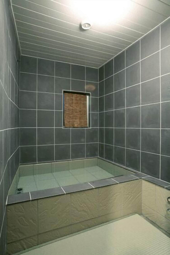 Bathroom 2, Gensen no Yado Maruishi Ryokan, Hakuba