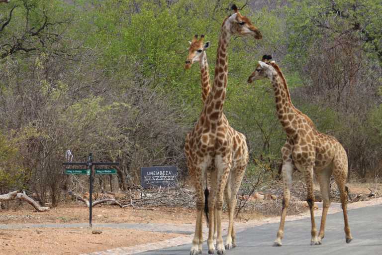 Exterior & Views 2, Unembeza Boutique Lodge, Mopani