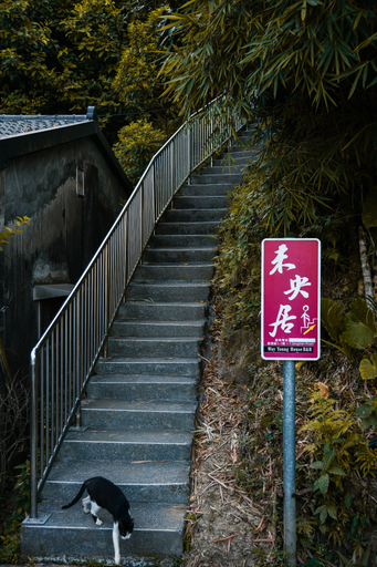 Others 4, WayYoungHouse B&B, New Taipei City