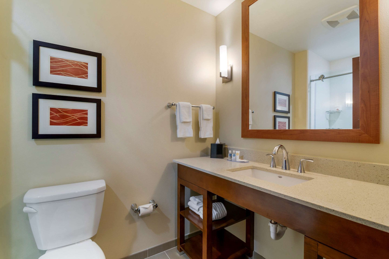 Bathroom 4, Comfort Inn & Suites Mandan - Bismarck, Morton