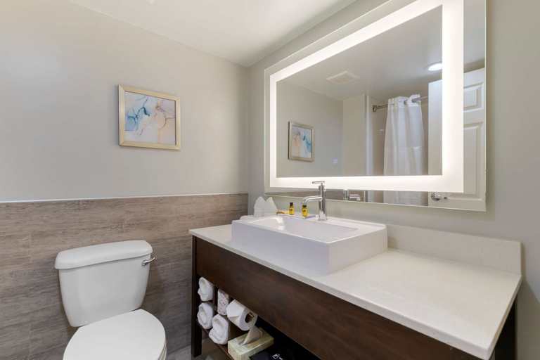 Bathroom 5, Best Western Plus McAllen Airport Hotel, Hidalgo
