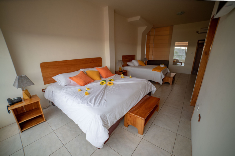 Bedroom 4, Hotel Albatross, Santa Cruz