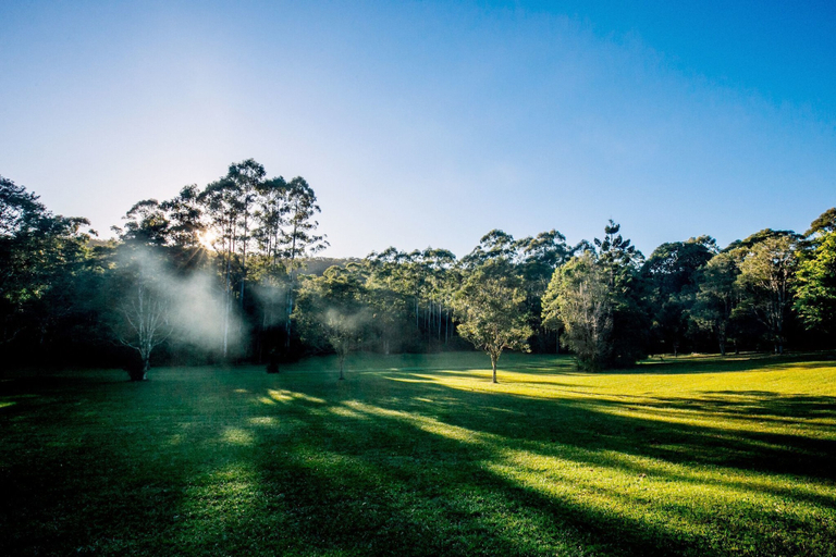 Others 4, Nightcap Ridge, Lismore - Pt B