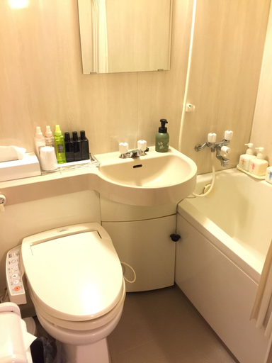 Bathroom 4, Kusatsu Onsen Hotel Sakurai, Kusatsu