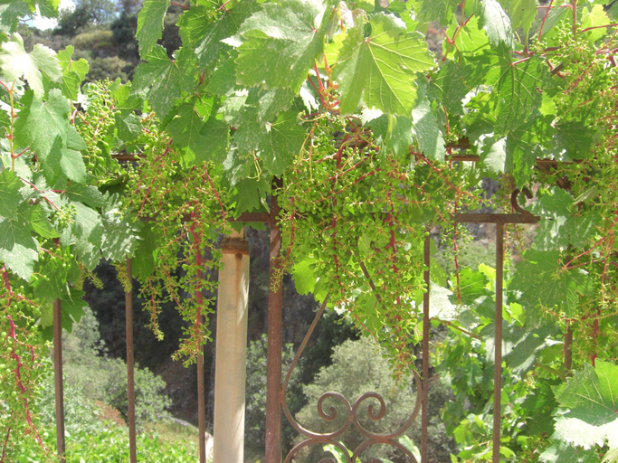 Others 5, Patriko Traditional Residence, Crete