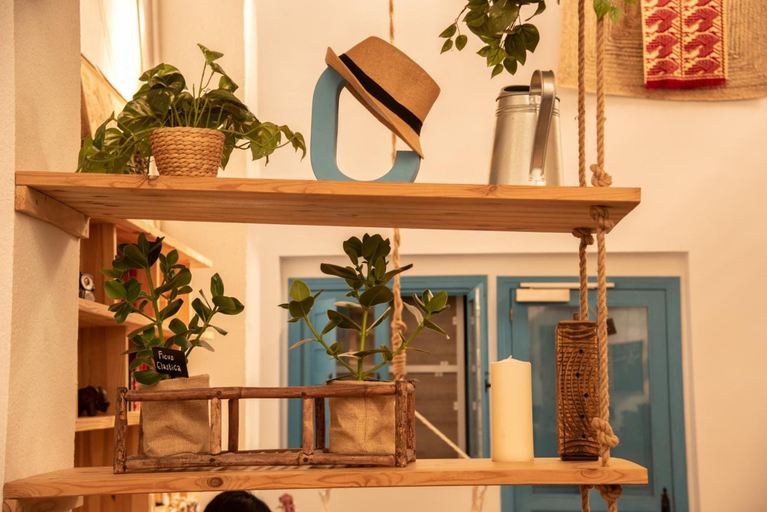 Others 5, Cantagua Hostel, Valencia
