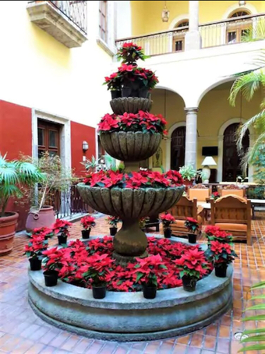 Exterior & Views 2, San Francisco Plaza Hotel, Guadalajara