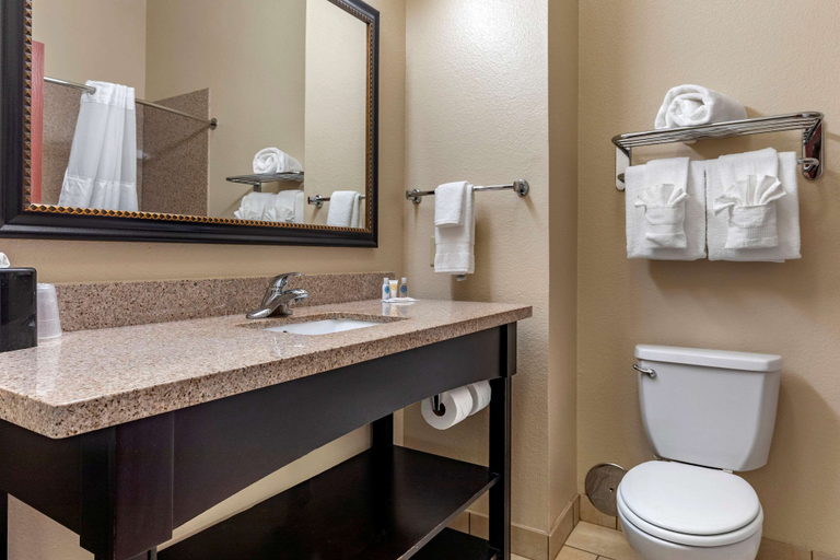 Bathroom 3, Comfort Inn & Suites Paris, Lamar