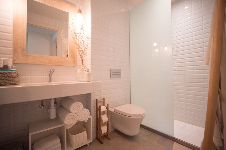Bathroom 5, Can Alemany, Barcelona