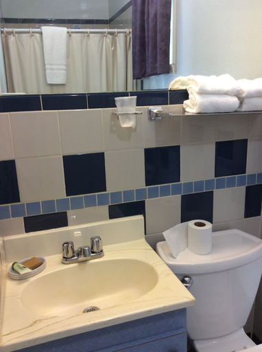 Bathroom 5, Regency Inn Comanche, Comanche