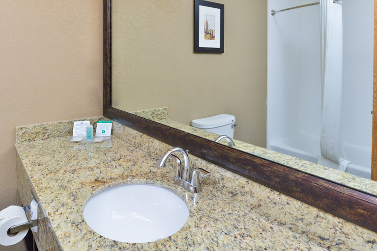 Bathroom 4, Comfort Suites near Route 66, Sangamon