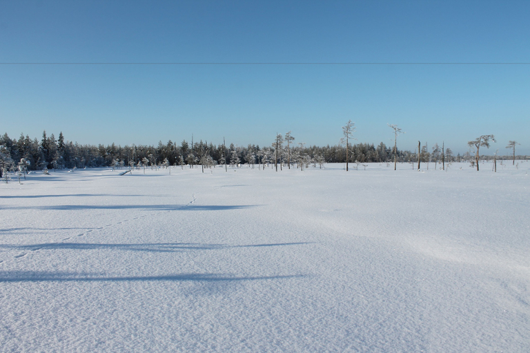 Others 5, Villa Havula, Lapland