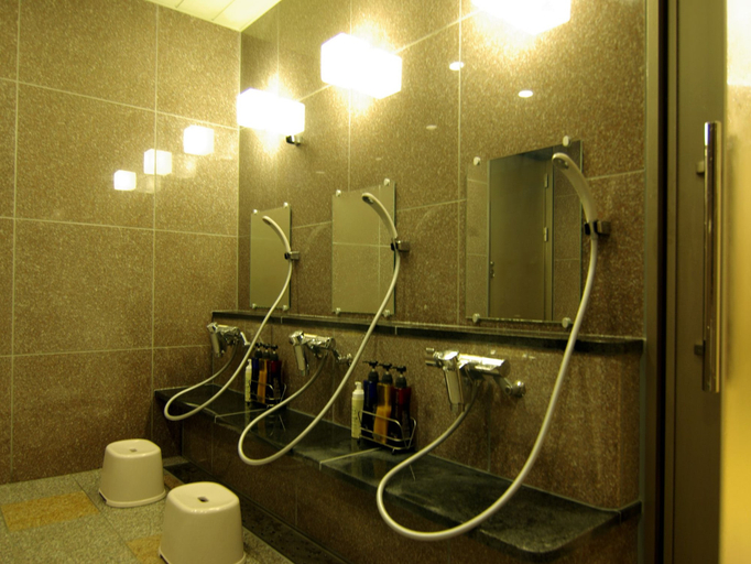 Bathroom 3, Koyokan, Yasugi