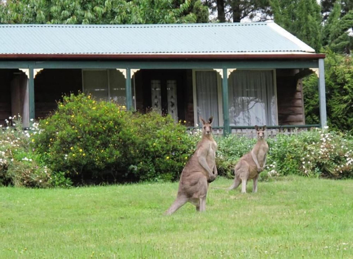 Others 4, Cedar Lodge Cabins, Blue Mountains