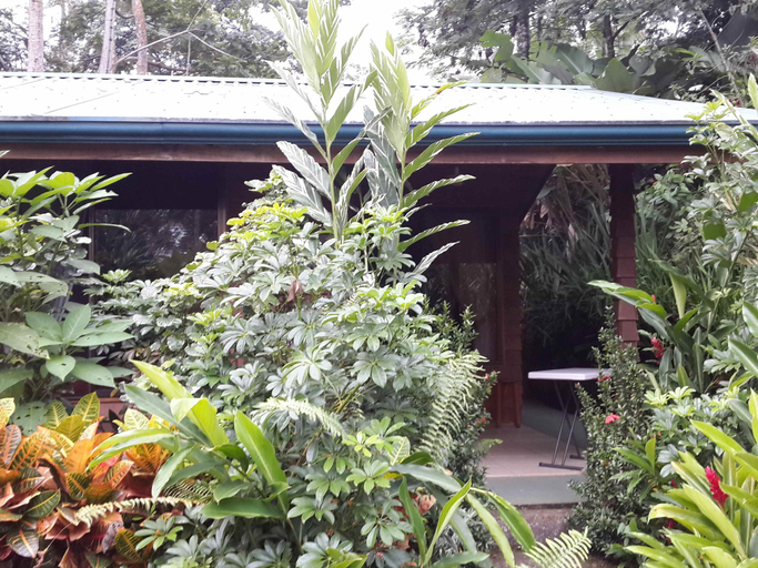 Exterior & Views 2, San Rafael Ecolodge, San Carlos