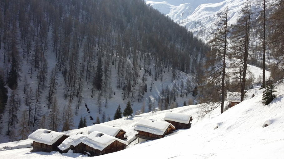 Others 5, Ferienwohnungen am Berg - Almhütte Alfen, Lienz