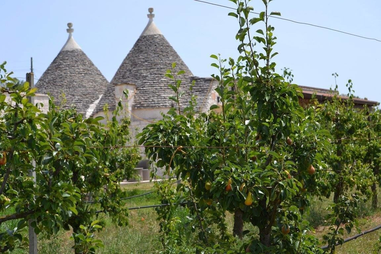 Exterior & Views 2, Masseria Torricella, Bari