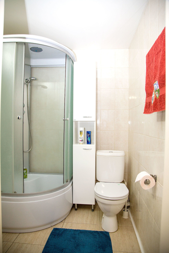 Bathroom 2, Loft Avtozavodskaya, Southern