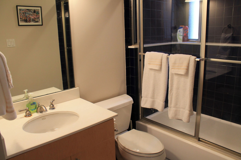 Bathroom 5, Modern B & B, Houston