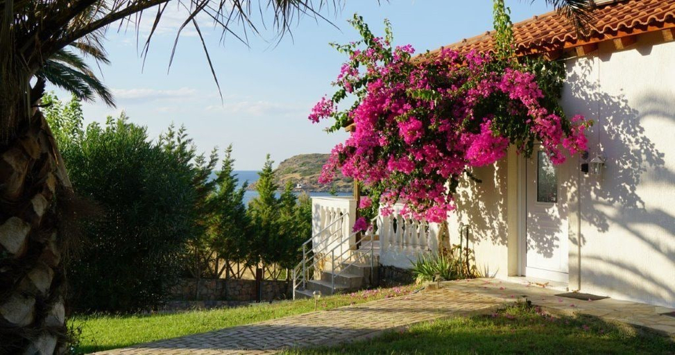 Others 5, Bungalow Musuri, Crete