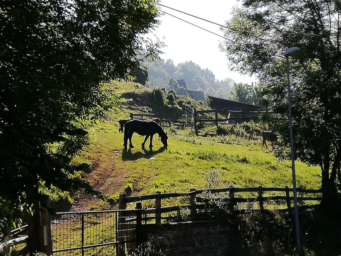 Others 3, El Lagar, Asturias