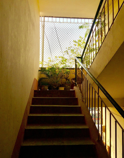 Others 5, A Green Home, Hoàn Kiếm