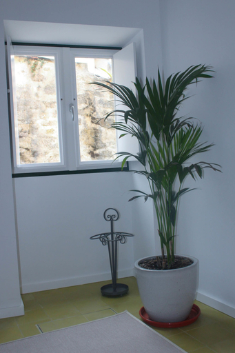 Bathroom 4, Arco Apartments, Porto