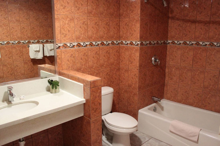 Bathroom 4, Royla Motel, Los Angeles