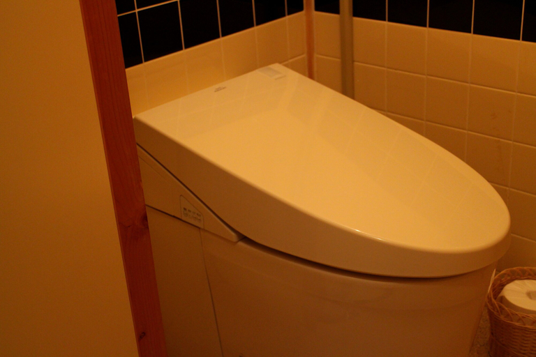 Bathroom 5, Shinzanso, Takayama