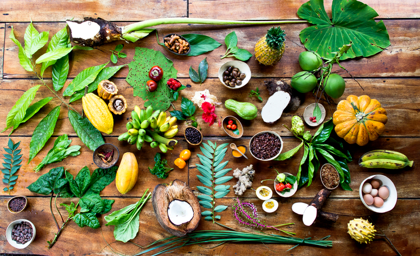 Food & Drinks 5, La Loma Jungle Lodge And Chocolate Farm, Bocas del Toro