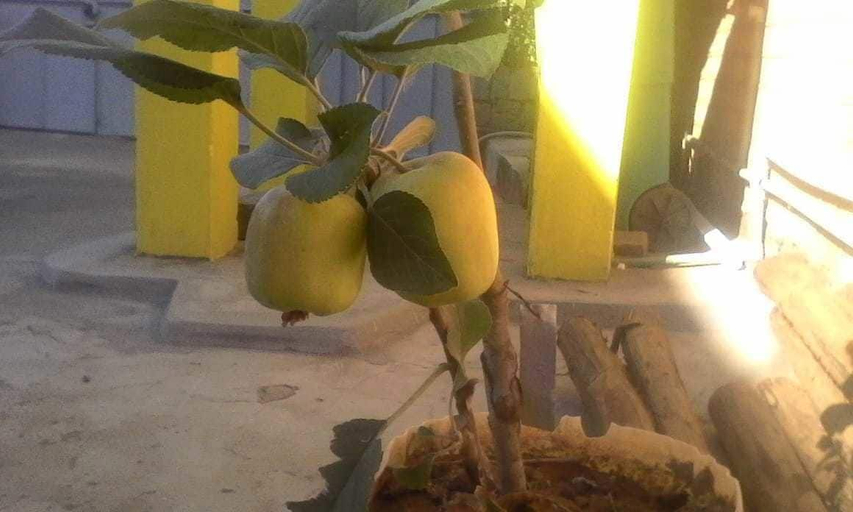 Food & Drinks, Villa Ravo, Analamanga