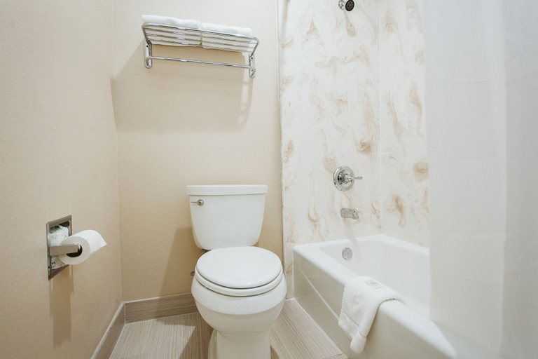 Bathroom 4, Palace Inn 290 & Jones Rd, Houston