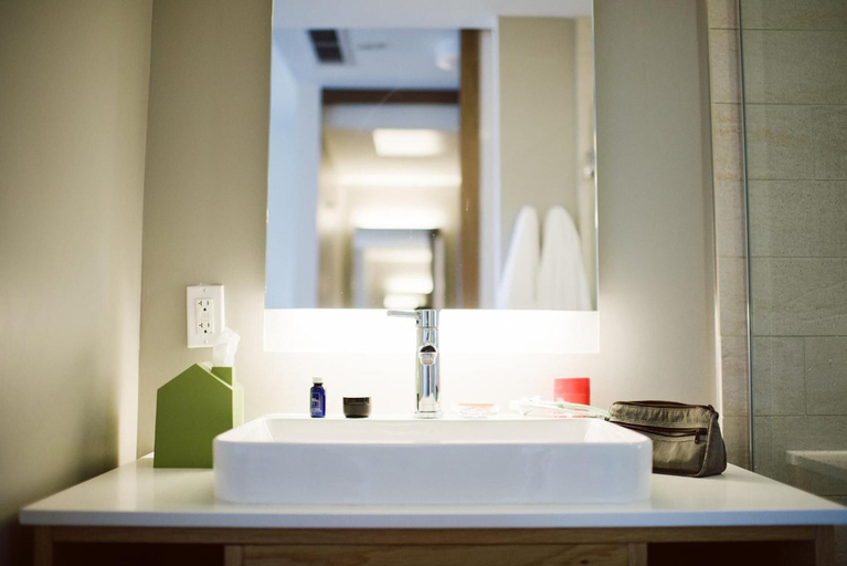 Bathroom 4, Hotel Vermont, Chittenden