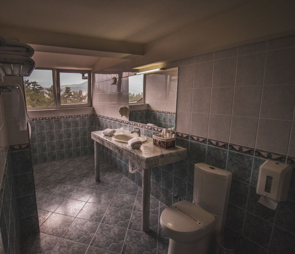 Bathroom, Spa Hotel Dvoretsa, Velingrad