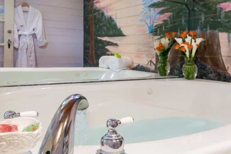 Bathroom 4, Maison D'Memoire Bed & Breakfast Cottages, Acadia