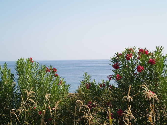 Others 4, Bungalow Musuri, Crete