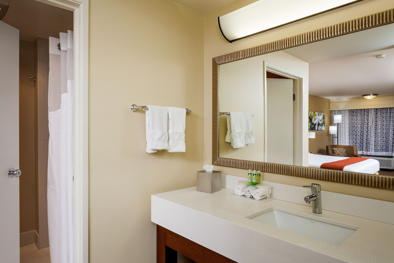 Bathroom 4, Holiday Inn Express SIMI VALLEY by IHG, Ventura