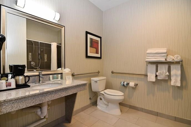 Bathroom 4, Comfort Suites Greenville, Hunt
