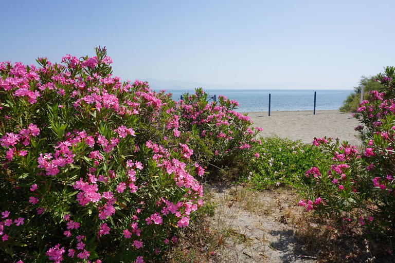 Others 5, MariRena plaz, Peloponnese