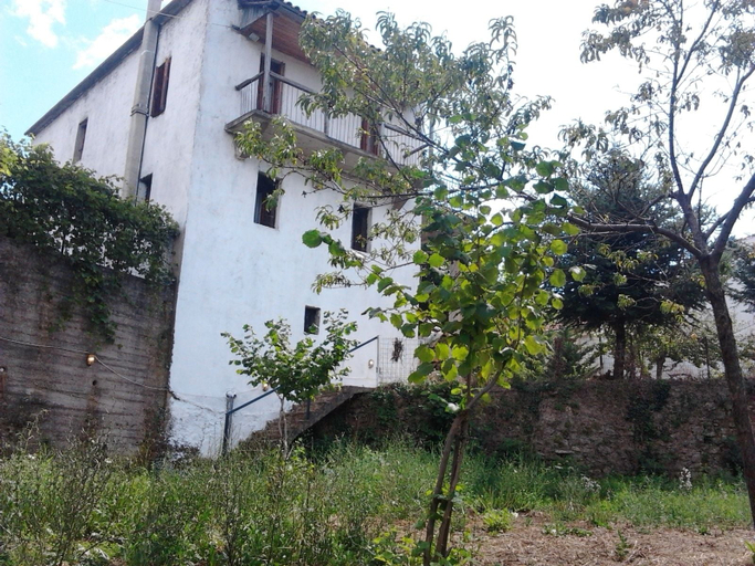Primary image