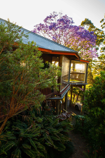 Exterior & Views 2, Tamborine Mountain B&B, Tamborine Mountain