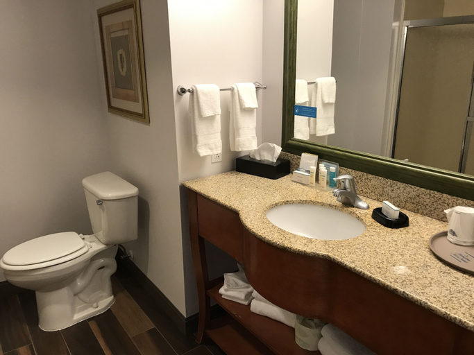 Bathroom 4, Hampton Inn & Suites Lamar, Clinton