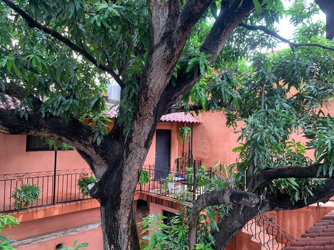 Exterior & Views 2, Hotel Doña Elvira, Distrito Nacional