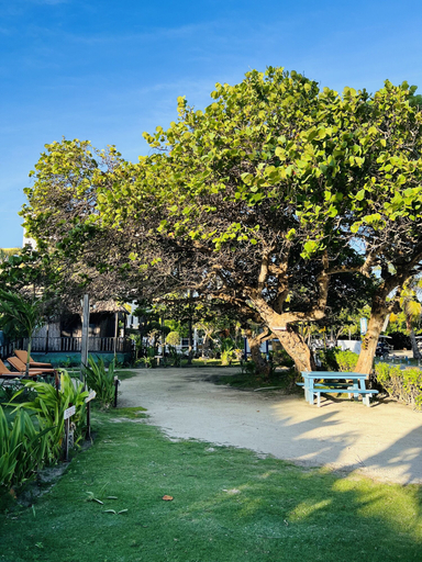 Others 4, Hotel Del Rio
