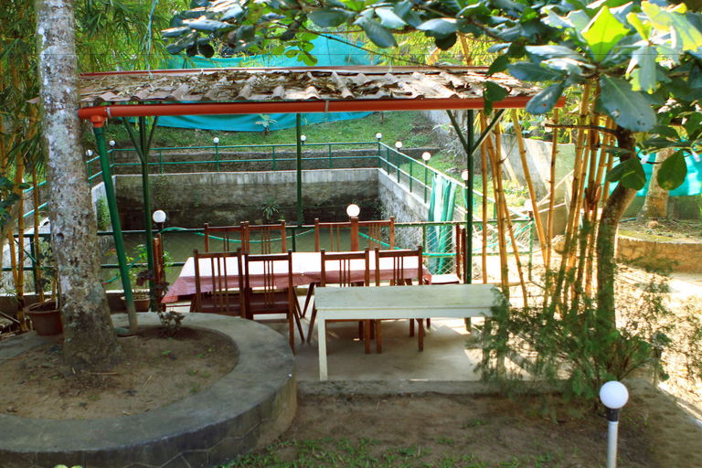 Others 5, Stay Melody, Theni