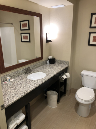 Bathroom 5, Comfort Suites University - Research Park, Mecklenburg